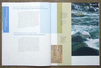 Fachklinik für Traditionelle Chinesische Medizin Bad Pyrmont AG